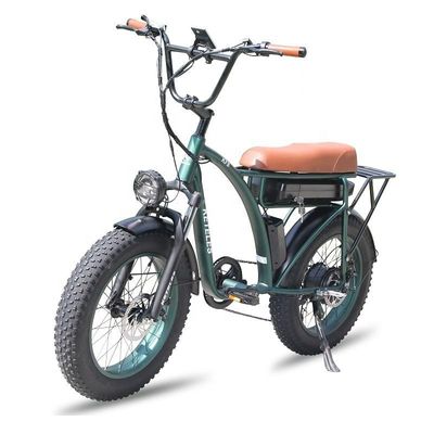 23AH バッテリー容量 1000W 2000W モーター 20インチ 太い自転車 電動自転車 カスタムサポート
