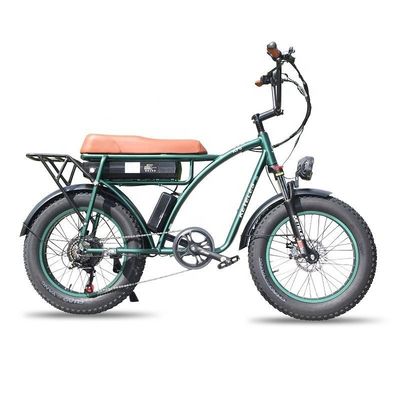 23AH バッテリー容量 1000W 2000W モーター 20インチ 太い自転車 電動自転車 カスタムサポート