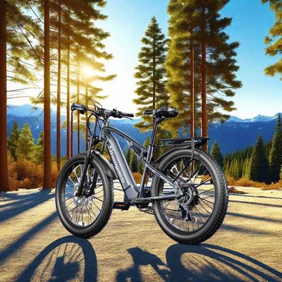 アメリカ合衆国 EU 倉庫 F2 成人用電動モペッド ディスクブレーキと36v 250wのモーターパワー