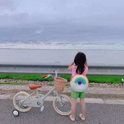 アルloy Rim INS Style 16 インチ レトロ 子供用自転車 4-8歳児用 単速