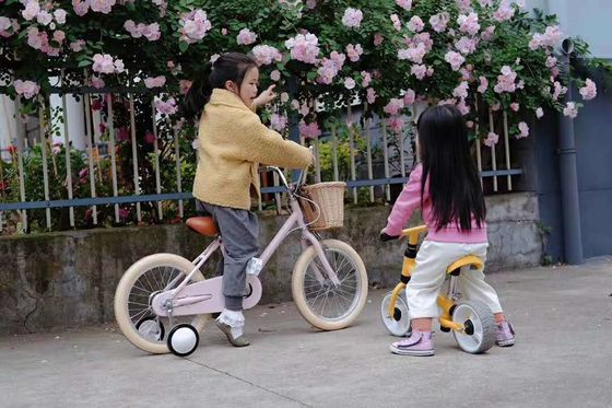 アルloy Rim INS Style 16 インチ レトロ 子供用自転車 4-8歳児用 単速