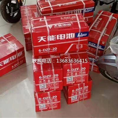 12V20.2Ah 6-DZF-20.2 ドライ充電 密閉 GEL 電気スケートボードのための鉛酸電池