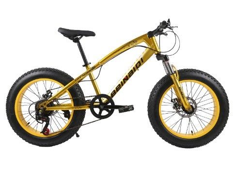 20 インチ 子供のビーチスノーバイク 4.0 太いタイヤ 山岳自転車 7/21/24/27 スピード
